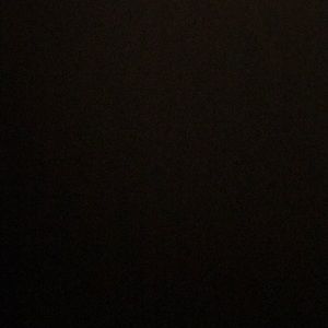 Meet your Posher, Bailey